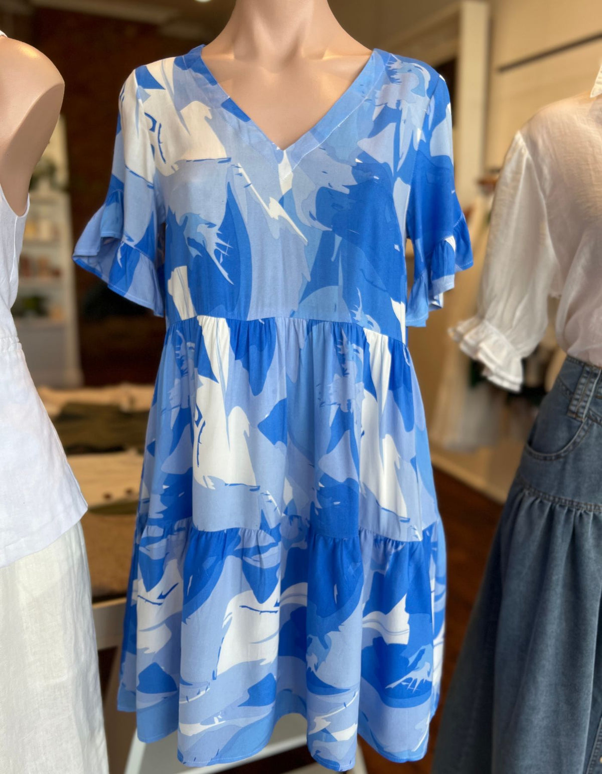 Lynora V Neck Relaxed Fit Dress in Blue Print