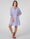 Eliza Button Front V Neck Dress in Blue/White Stripe